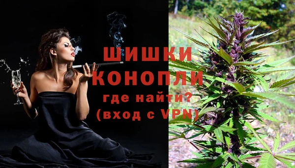 твердый Дмитровск