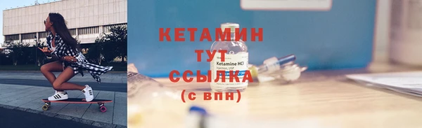 твердый Дмитровск