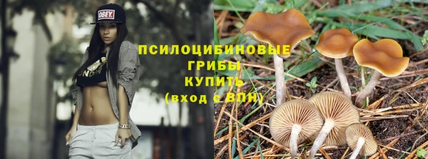 твердый Дмитровск