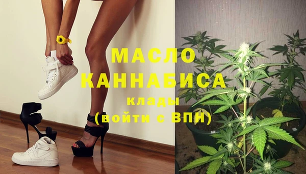 твердый Дмитровск