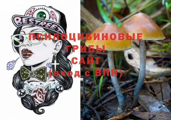 скорость Дмитриев