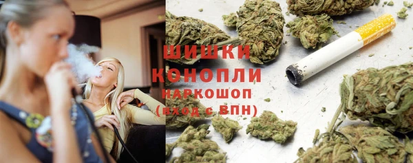 твердый Дмитровск