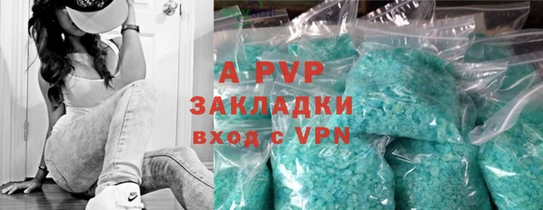 твердый Дмитровск