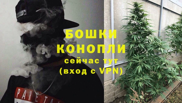 мет Дмитров
