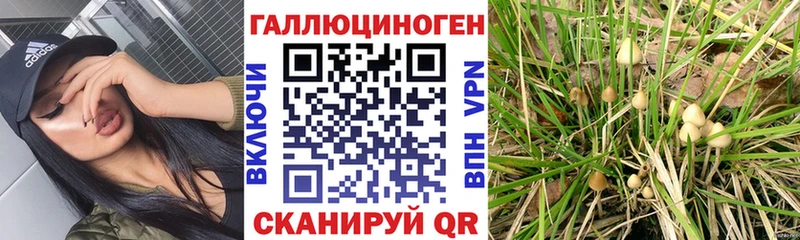 Псилоцибиновые грибы MAGIC MUSHROOMS  Зеленодольск 
